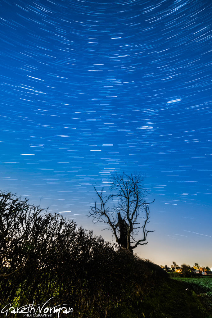 Star trail over the tree