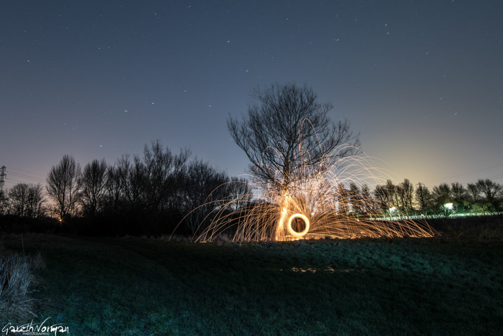 Wire Wool at the tree